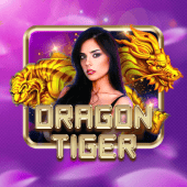 Dragon Tiger on Bybet live casino
